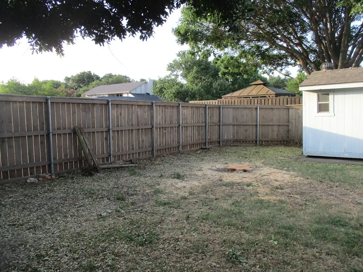 Cleared yard after professional tree removal in Rockport